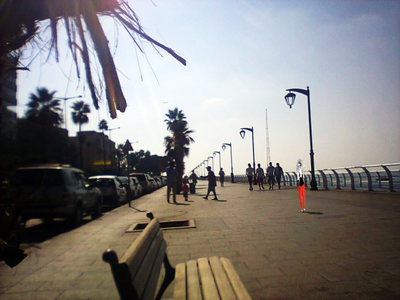 Photo0281